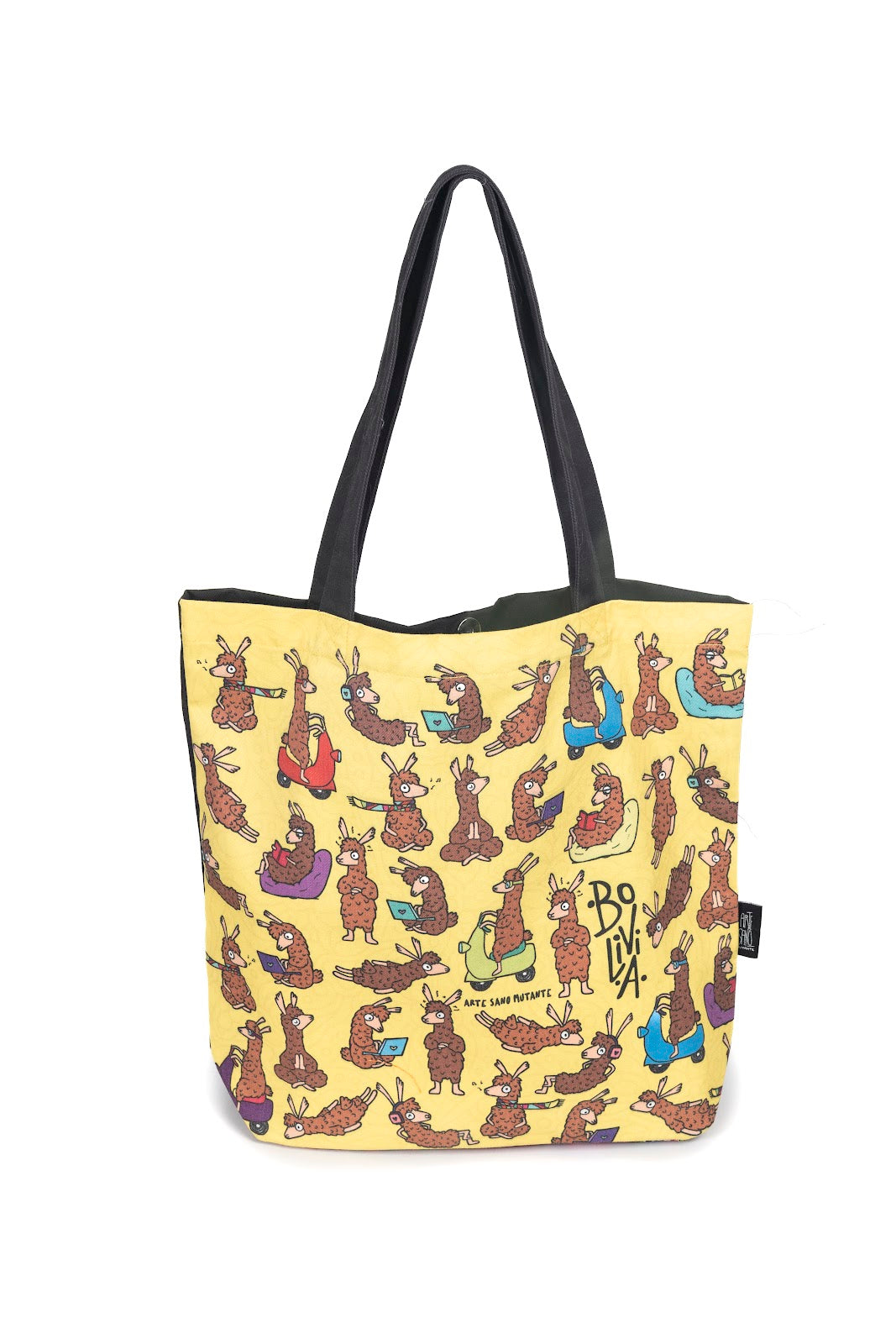 Bolsa Base Aguayo